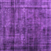 Square Abstract Purple Contemporary Rug, con2004pur