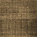 Square Abstract Brown Contemporary Rug, con2006brn