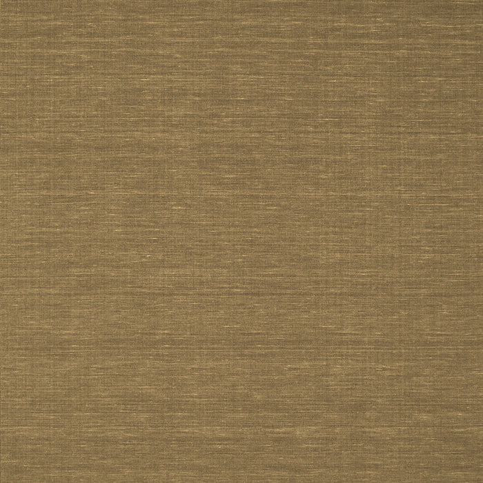 Abstract Brown Contemporary Rug, con200brn