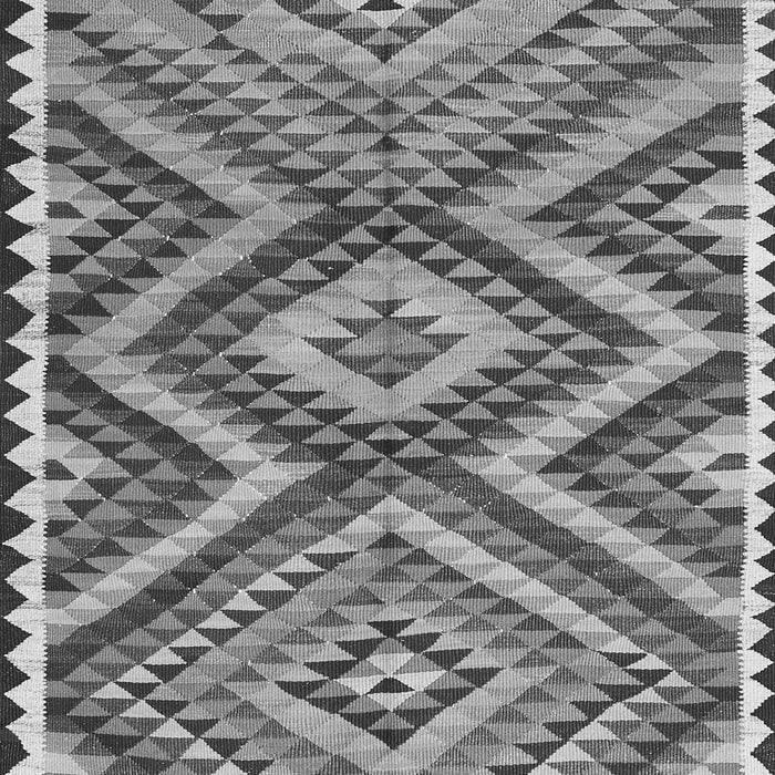 Oriental Gray Traditional Rug, con2018gry