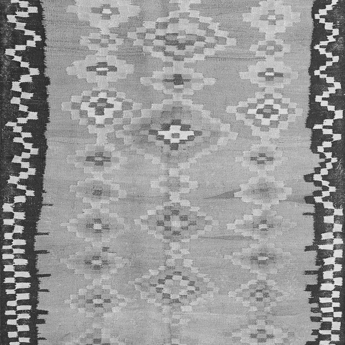 Oriental Gray Traditional Rug, con2022gry