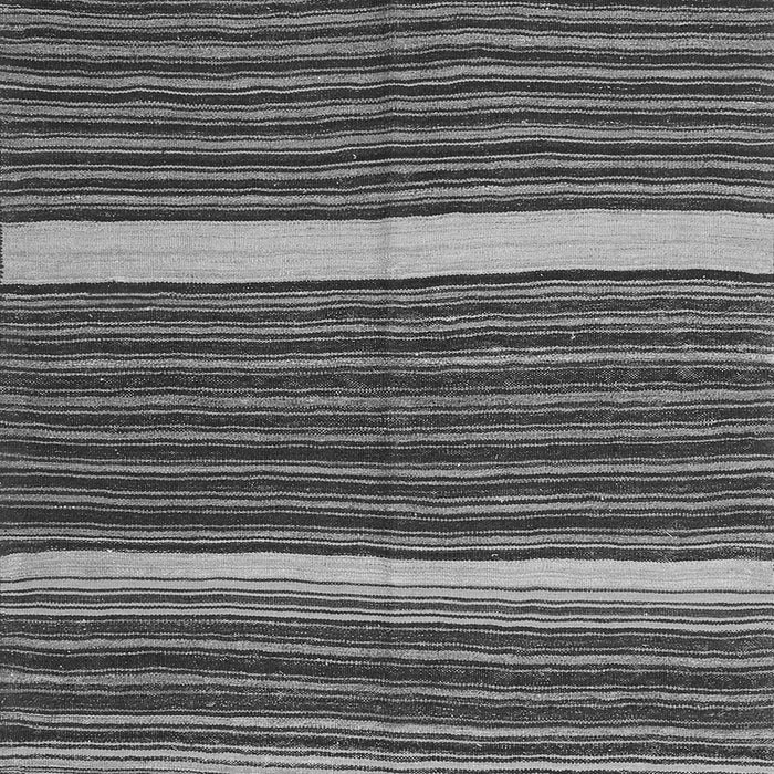 Oriental Gray Traditional Rug, con2023gry