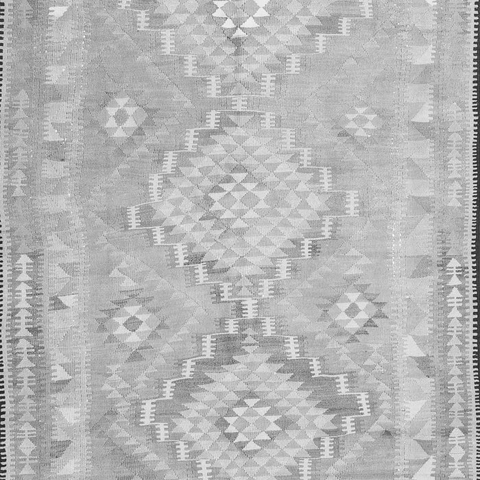Oriental Gray Traditional Rug, con2027gry