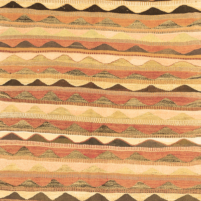 Machine Washable Southwestern Brown Country Rug, wshcon2028brn