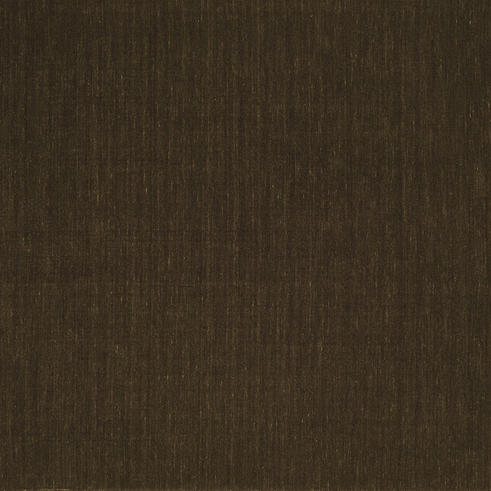 Square Abstract Brown Contemporary Rug, con202brn