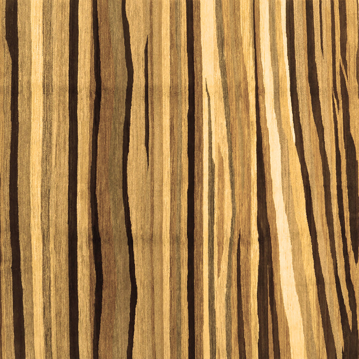 Square Abstract Brown Contemporary Rug, con2032brn