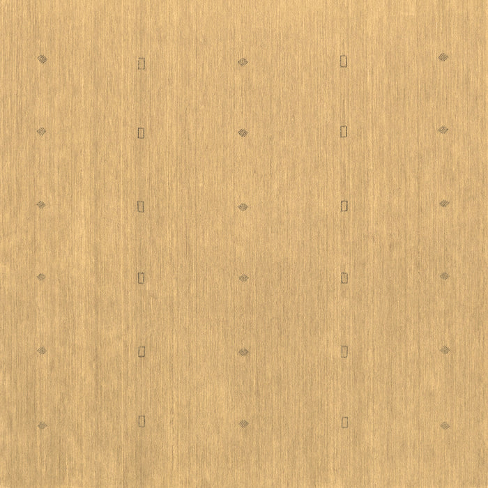 Square Abstract Brown Contemporary Rug, con2036brn