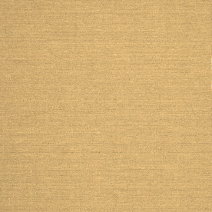 Square Solid Brown Modern Rug, con204brn