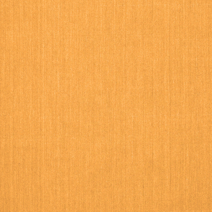 Serging Thickness of Machine Washable Solid Orange Modern Area Rugs, wshcon204org