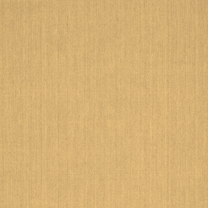 Machine Washable Solid Brown Modern Rug, wshcon204brn