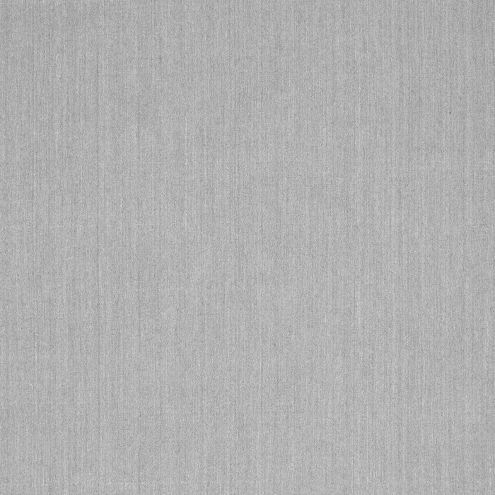 Solid Gray Modern Rug, con204gry