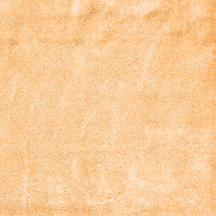 Serging Thickness of Machine Washable Solid Orange Modern Area Rugs, wshcon2054org