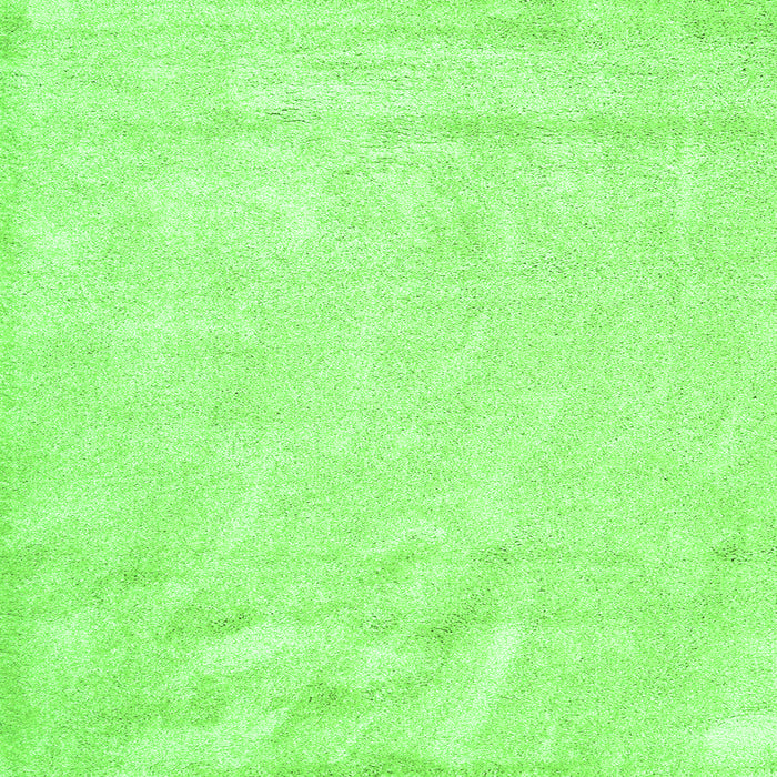 Serging Thickness of Solid Green Modern Rug, con2054grn
