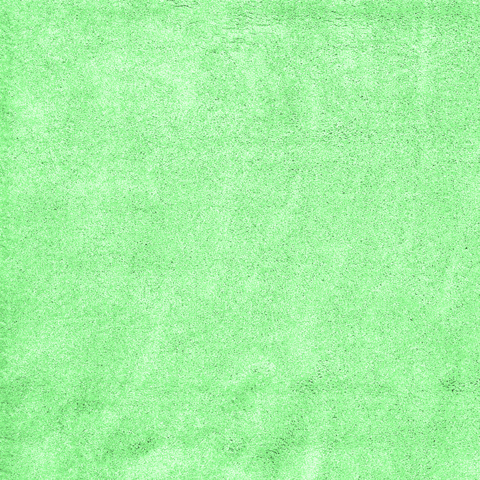 Solid Emerald Green Modern Rug, con2054emgrn