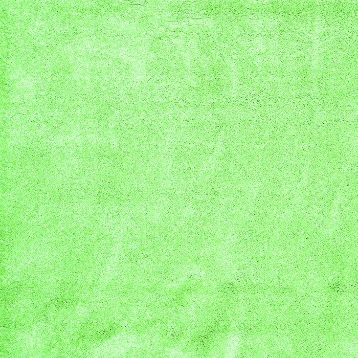 Solid Green Modern Rug, con2054grn