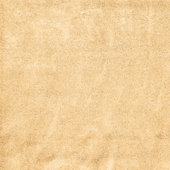 Solid Brown Modern Rug, con2054brn