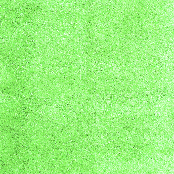 Solid Green Modern Rug, con2055grn