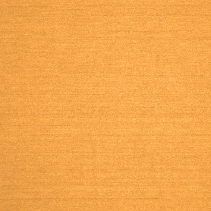 Serging Thickness of Machine Washable Solid Orange Modern Area Rugs, wshcon205org