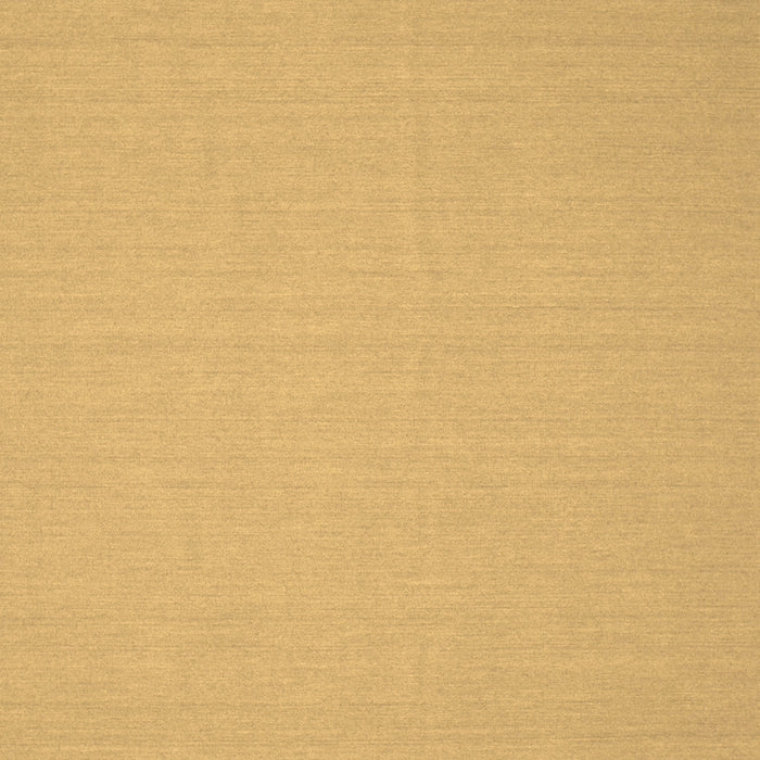 Solid Brown Modern Rug, con205brn