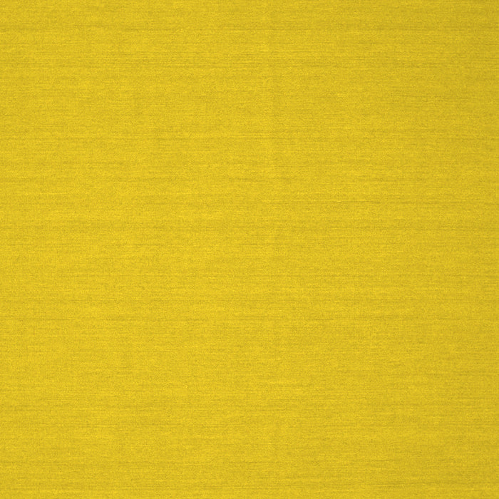 Machine Washable Solid Yellow Modern Rug, wshcon205yw