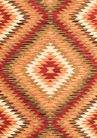 Southwestern Orange Country Rug, con2074org