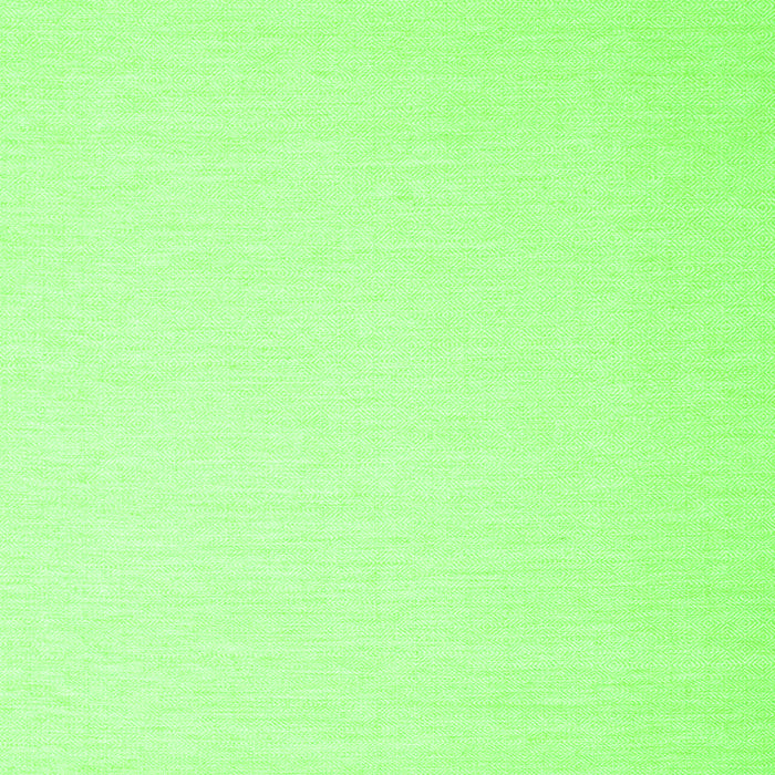 Abstract Green Contemporary Rug, con2076grn