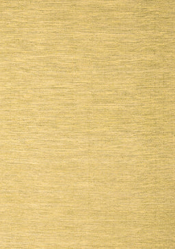 Abstract Brown Contemporary Rug, con2077brn
