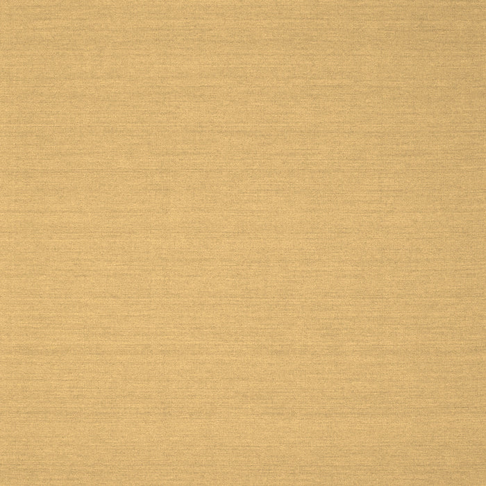 Machine Washable Solid Brown Modern Rug, wshcon207brn