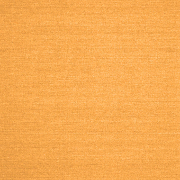 Serging Thickness of Machine Washable Solid Orange Modern Area Rugs, wshcon207org