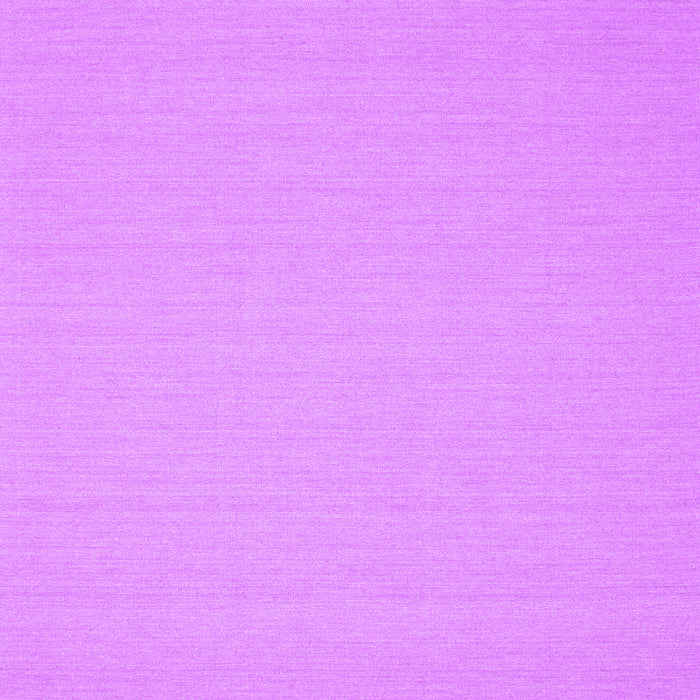 Solid Purple Modern Rug, con207pur