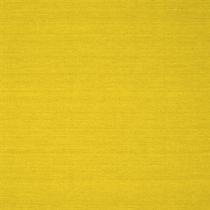 Solid Yellow Modern Rug, con207yw