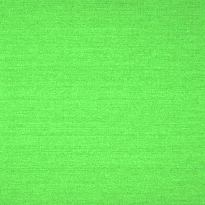 Serging Thickness of Solid Green Modern Rug, con207grn