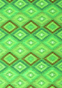 Southwestern Green Country Rug, con2089grn