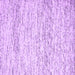 Square Machine Washable Solid Purple Modern Area Rugs, wshcon2095pur