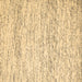 Square Solid Brown Modern Rug, con2095brn