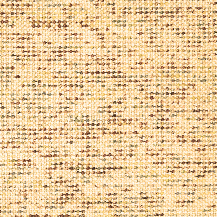 Solid Brown Modern Rug, con2101brn