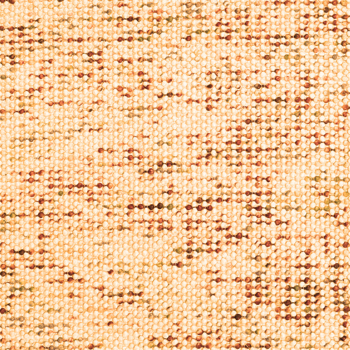 Serging Thickness of Machine Washable Solid Orange Modern Area Rugs, wshcon2108org