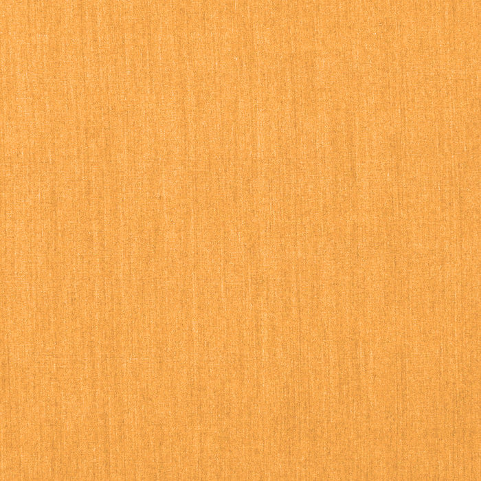 Solid Orange Modern Rug, con210org