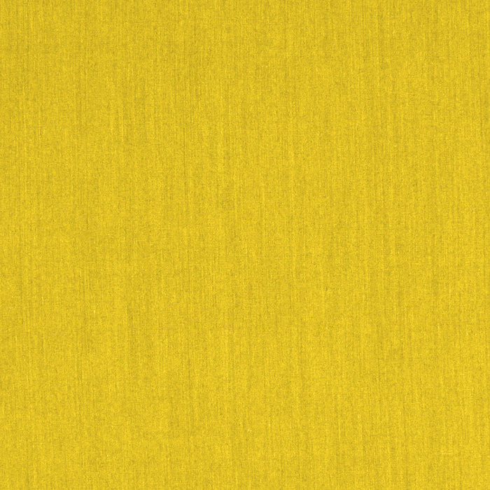 Solid Yellow Modern Rug, con210yw