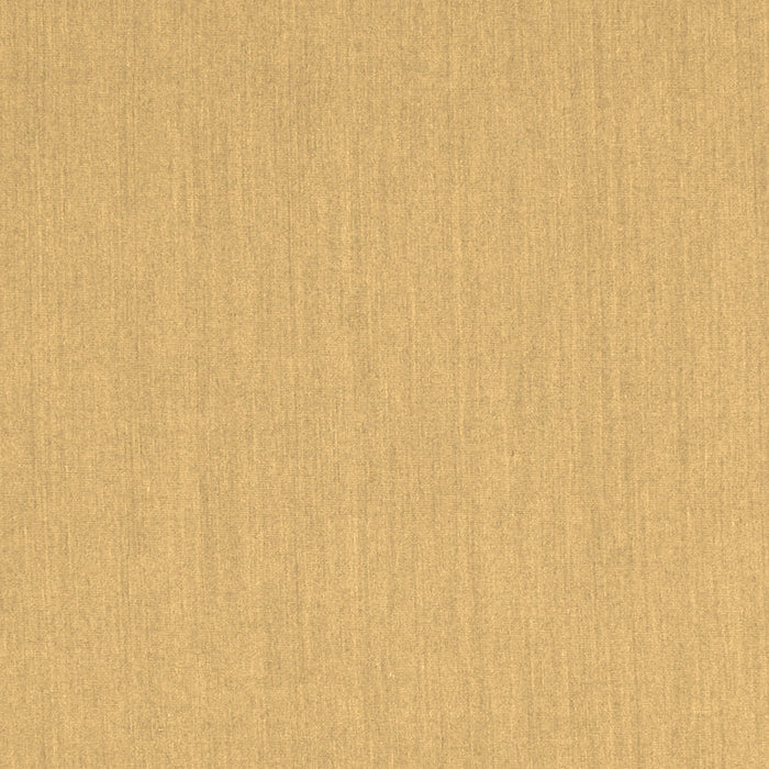 Machine Washable Solid Brown Modern Rug, wshcon210brn