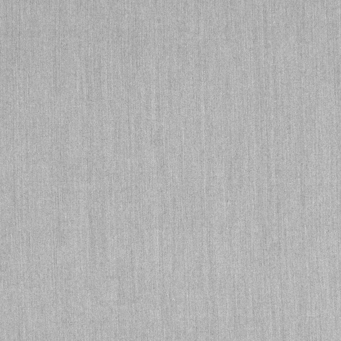 Solid Gray Modern Rug, con210gry