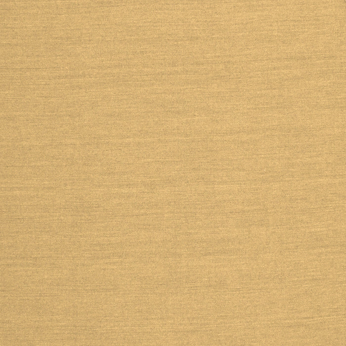 Square Solid Brown Modern Rug, con210brn