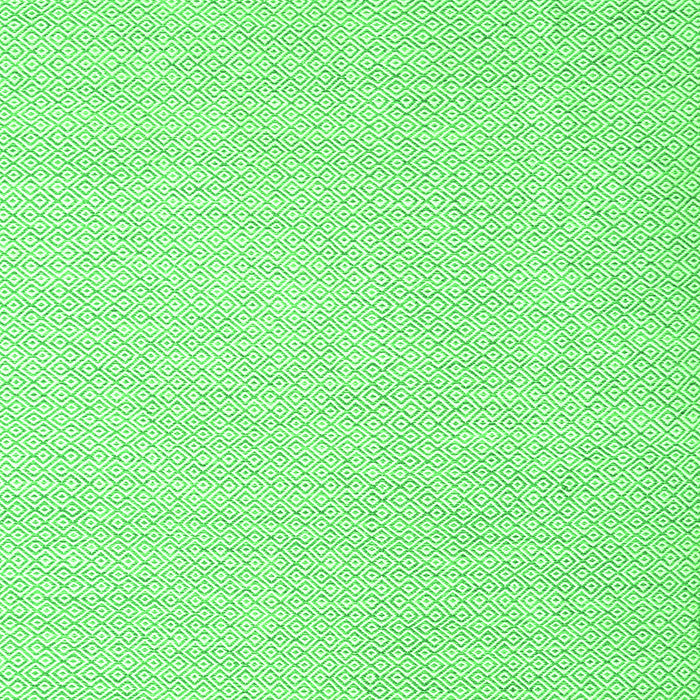 Abstract Green Contemporary Rug, con2115grn