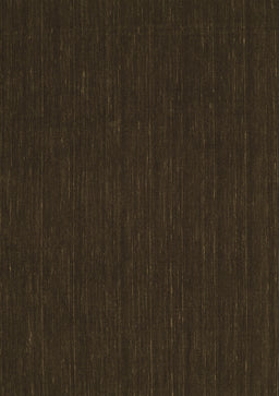 Abstract Brown Contemporary Rug, con211brn