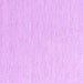 Square Solid Purple Modern Rug, con2121pur