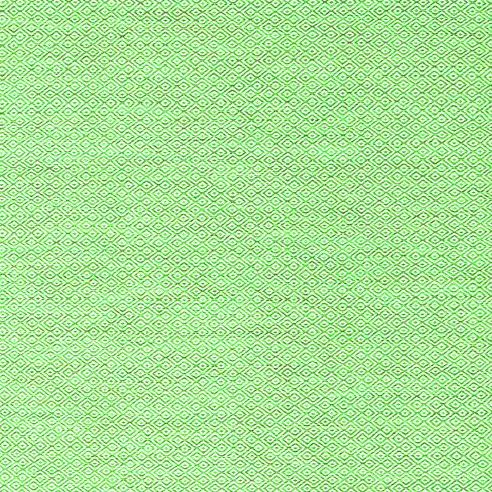 Solid Green Modern Rug, con2121grn