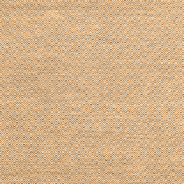 Abstract Orange Contemporary Rug, con2122org