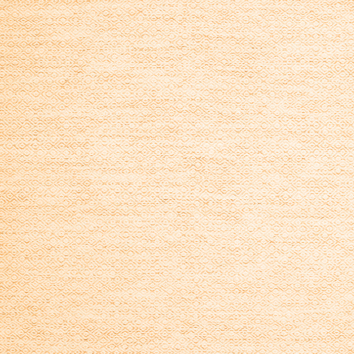 Solid Orange Modern Rug, con2123org