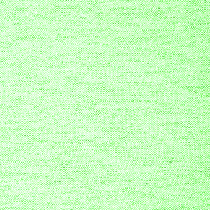 Serging Thickness of Machine Washable Solid Green Modern Area Rugs, wshcon2123grn