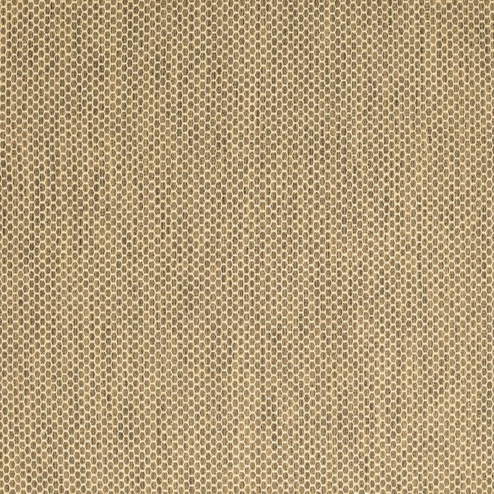 Square Abstract Brown Contemporary Rug, con2125brn
